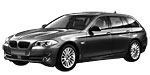 BMW F11 P02F1 Fault Code